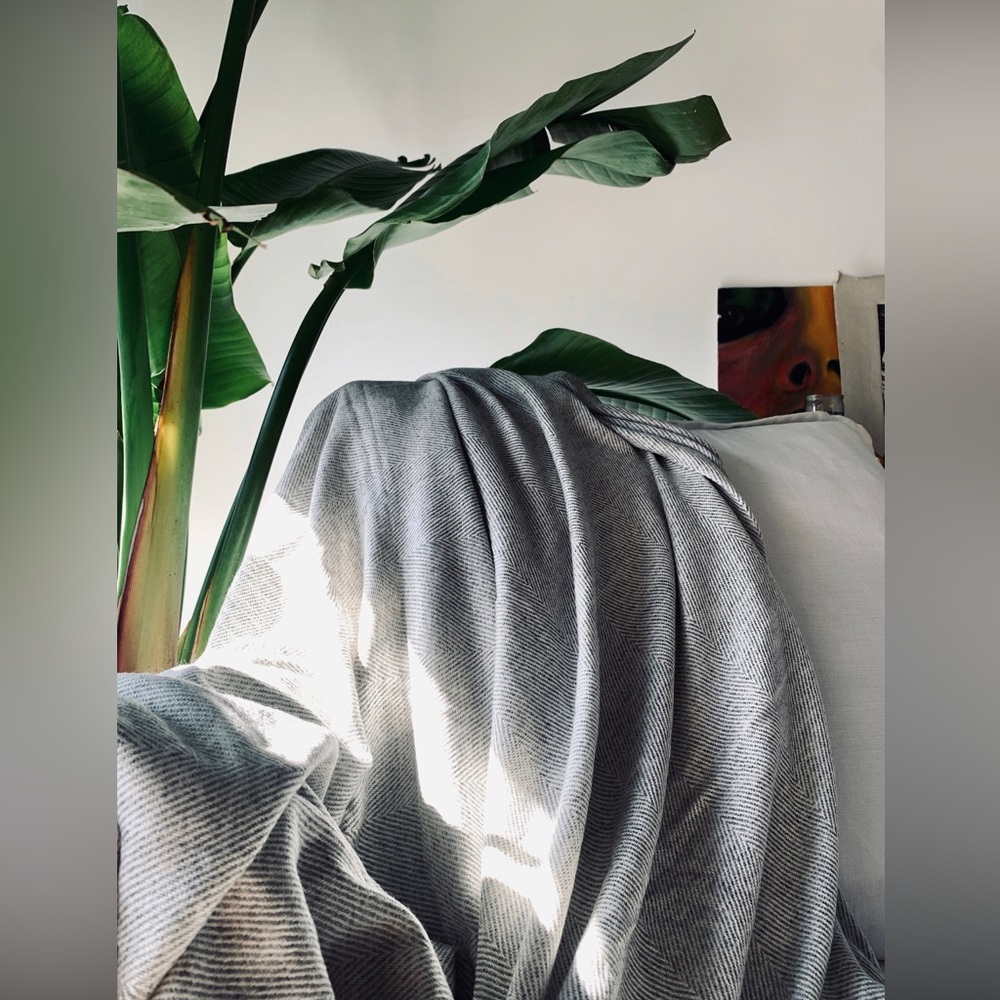 Soft Pashmina Throw from Nepal